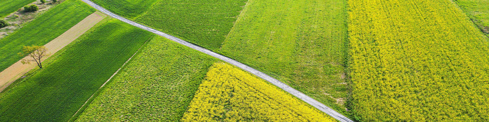 Agriculture